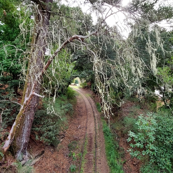Heather's Loft - Picture 6 of 15